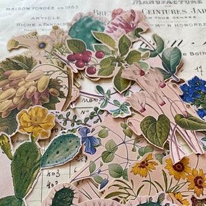 Pack d'autocollants plantes et fleurs | Stickers nature multicolores | Grand lot d'autocollants de jardin aquarelle | Cadeau pour amoureux des plantes | LIVRAISON GRATUITE