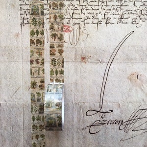 May include: A roll of decorative washi tape featuring botanical illustrations of various plants and flowers. The tape is printed with a vintage aesthetic, showcasing detailed drawings of leaves, herbs, and other flora. The tape is displayed against a backdrop of aged parchment.