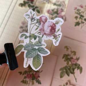 Adesivi con rose rosa / Adesivi di qualità facili da staccare / Splendidi adesivi botanici per gli amanti delle piante / Confezione di adesivi con fiori vintage x 9