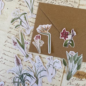 Stickers fleurs tropicales | Lot de 17 autocollants pour amoureux des plantes | Stickers nature pour journal | Stickers botaniques éphémères de fleurs