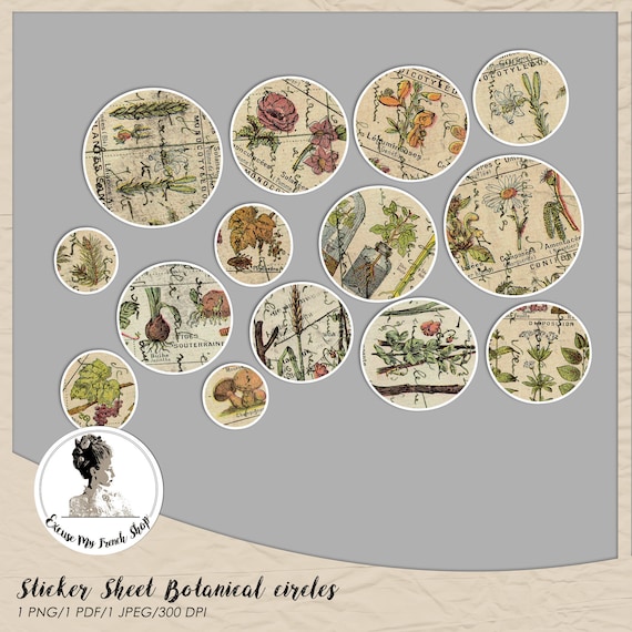 Buy Vintage Stickers Set(50 Sheets / 300+) Retro Ornaments Washi