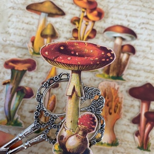 autocollants vintage champignons | Stickers botaniques vintage | Stickers champignons faciles à décoller | Stickers marron faits main