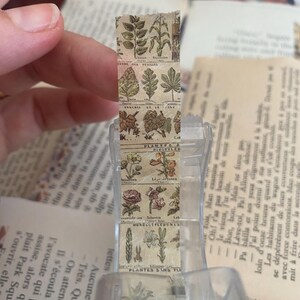 May include: A roll of botanical-themed washi tape featuring illustrations of leaves and flowers. The tape is held in a clear dispenser, with pages of a book in the background. The tape has a vintage, antique aesthetic.