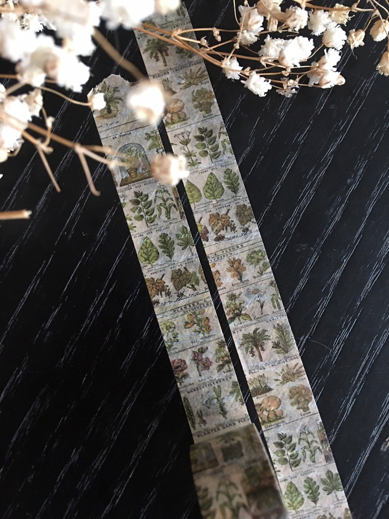 May include: Two strips of decorative washi tape featuring botanical illustrations of plants and flowers in muted green, brown, and beige tones. The tape has a vintage aesthetic with French text. The tape is partially unrolled.