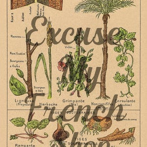 Puede incluir: Ilustraci&oacute;n bot&aacute;nica vintage con varios tipos de plantas, incluyendo una palmera, trigo y plantas trepadoras. La imagen tiene texto en franc&eacute;s y las palabras "5 BOTANICAL PAGES" y "INSTANT DOWNLOAD".
