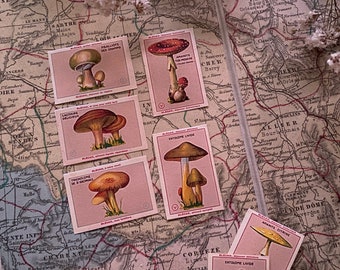 Mushroom stickers, Botanical vintage style stickers, peel-off stickers, French paper replicas