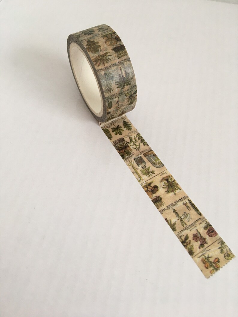May include: A roll of decorative washi tape featuring a botanical print with various plant illustrations in shades of green, brown, and beige. The tape is unrolled, revealing the repeating pattern. Perfect for scrapbooking and crafts.