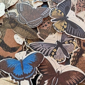 Groot pakket vlindersstickers | Handtas vlinderstickers | Stickers nachtelijke vlinders | Franse kantoorboekhandel