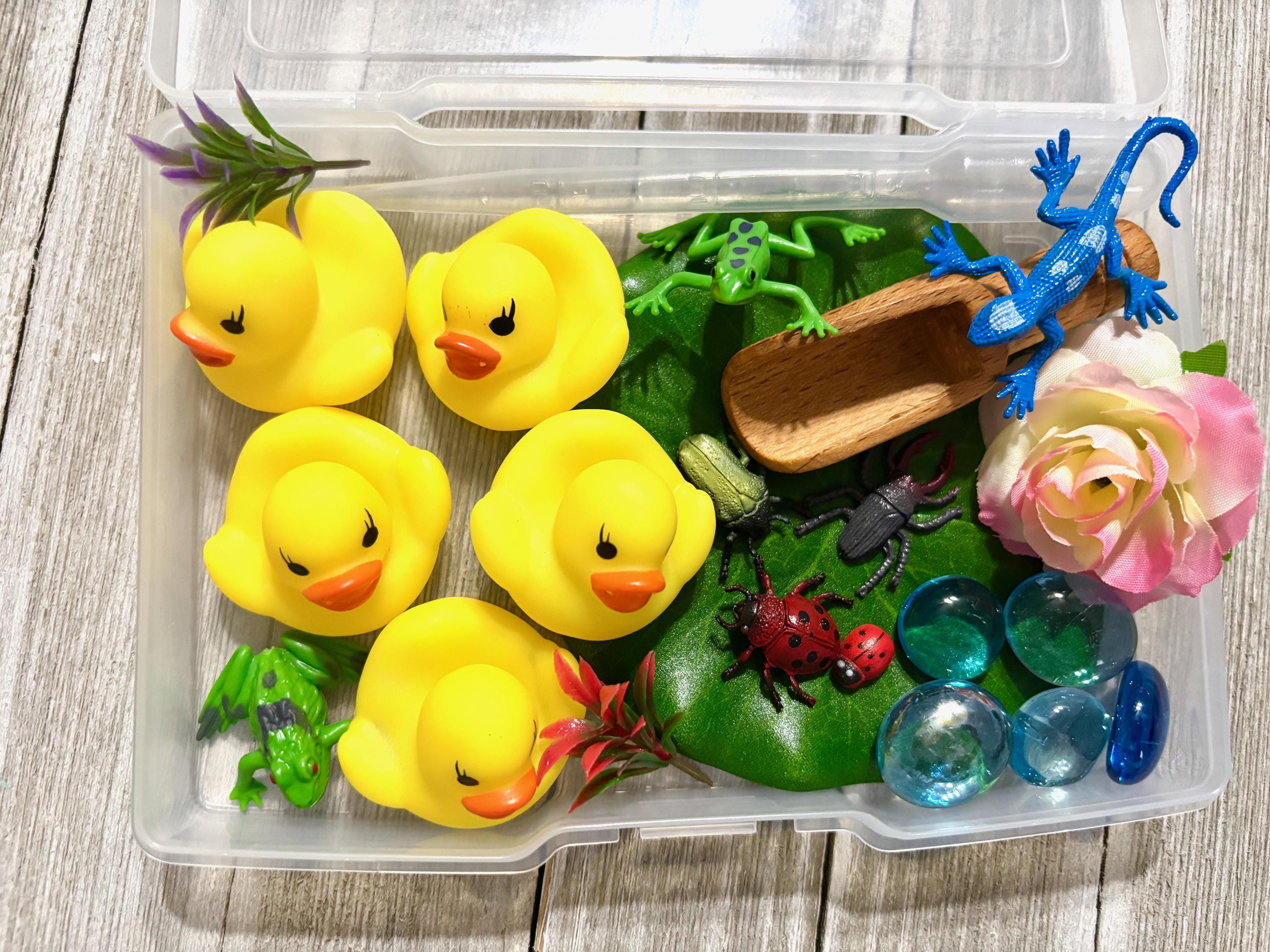 Duck Sensory Kit: Five Little Ducks Water Play - STEM Kids Gift - Etsy
