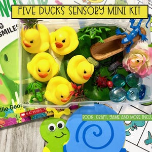 Duck Sensory Kit: Five Little Ducks Water Play - STEM Kids Gift- Counting Activity, Summer Water Play, Ages 3+