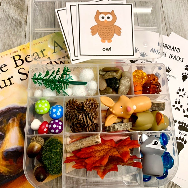 Fall Sensory Kit - Woodland Animal Pretend Play, Forest Sensory Bin Kit, Fall Sensory Bin, Fall Loose Parts, Forest Animal, Autumn Falloween