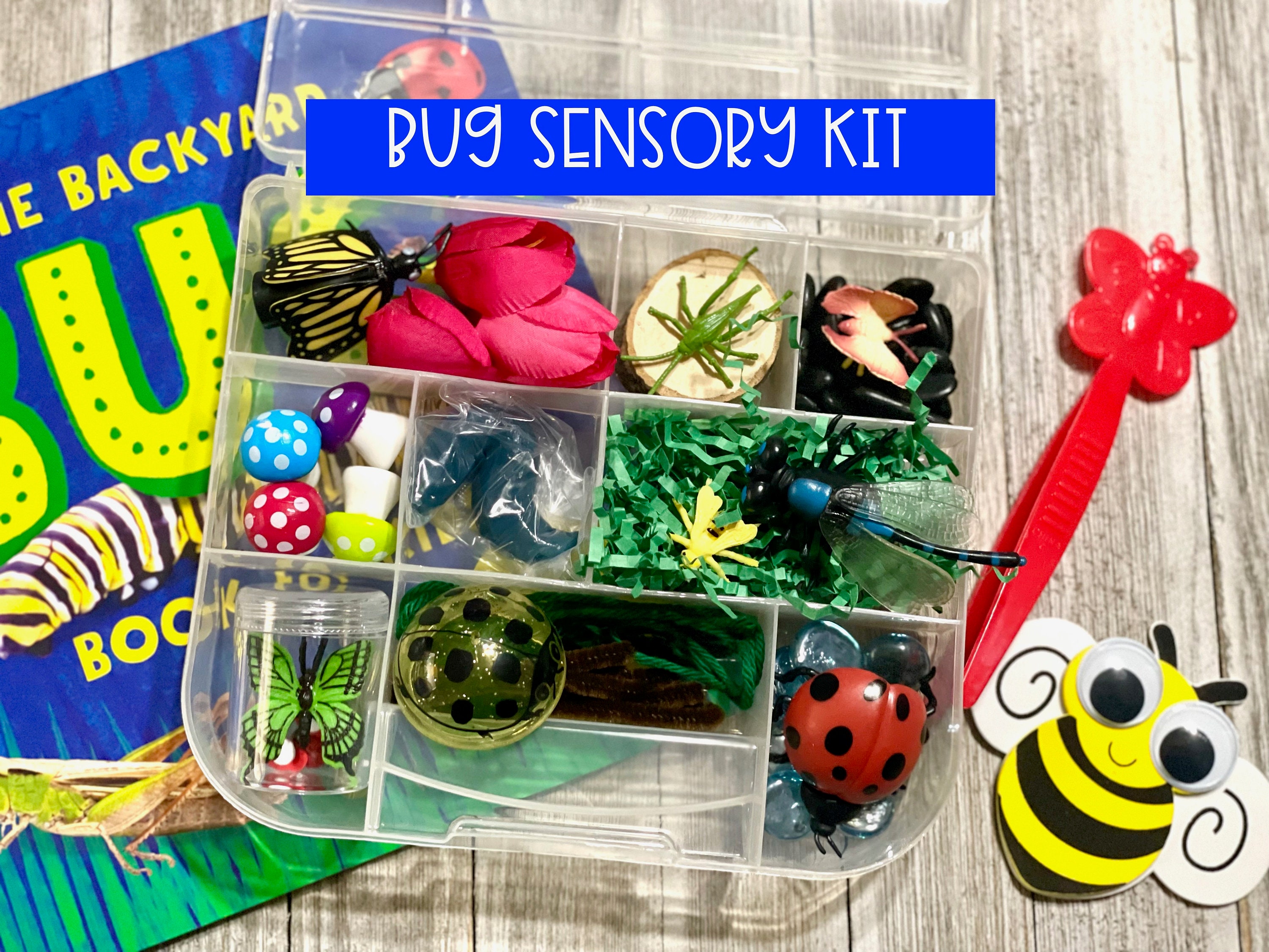Bug Sensory Kit Insect and Bug Play Kids Summer Sensory Etsy