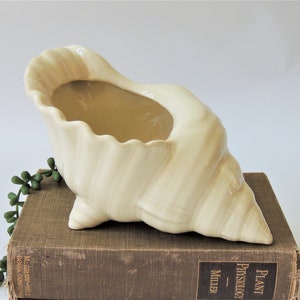 May include: A white ceramic seashell planter with a smooth, glossy finish. The planter is shaped like a conch shell and has a wide opening at the top.