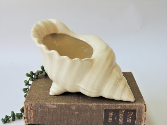 Conch Seashell Ceramic Planter -  Canada