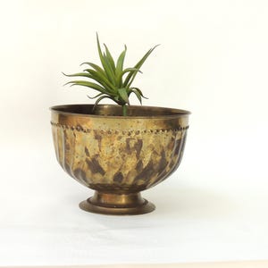 May include: A round brass bowl with a pedestal base and a fluted, textured exterior surface featuring a row of small embossed dots near the rim. A small green succulent plant is placed inside the bowl, which has a weathered, aged patina.
