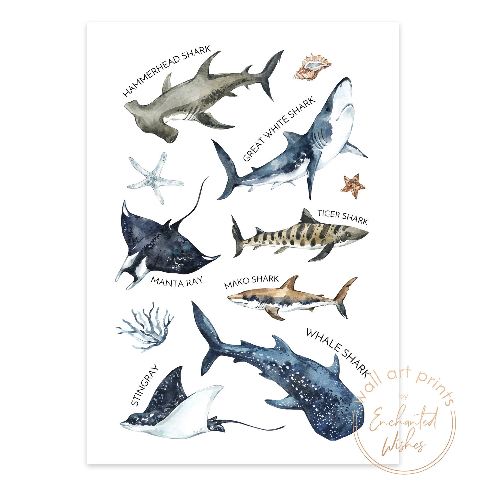 Shark Names Print Sharks Print Ocean Nursery Decor Ocean - Etsy UK