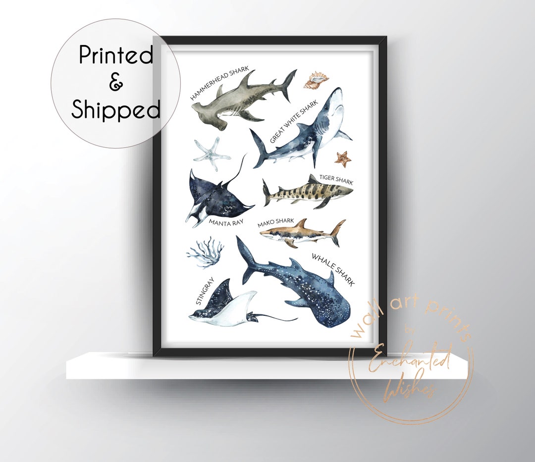 Shark Names Print Sharks Print Ocean Nursery Decor Ocean - Etsy UK