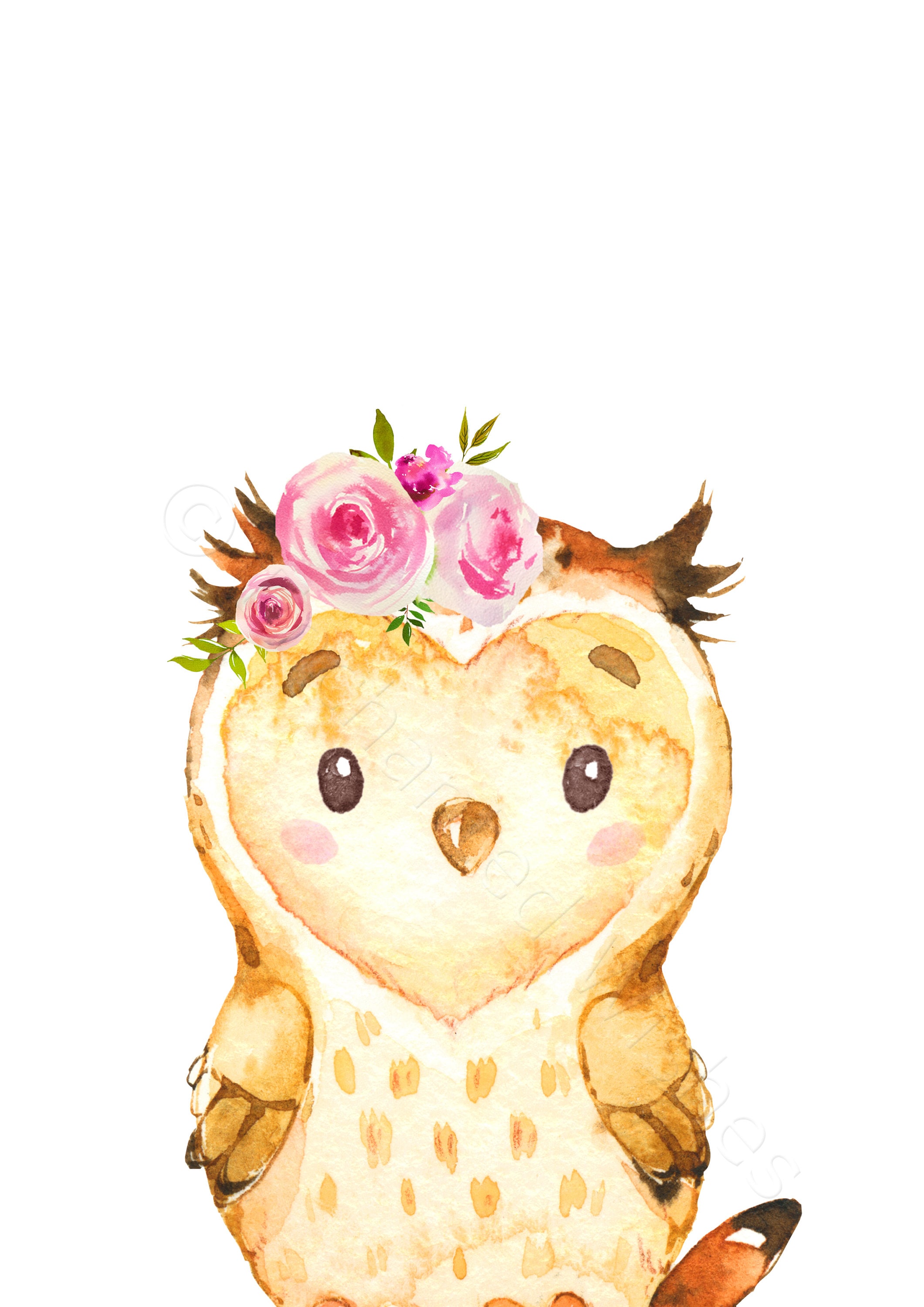 Woodland Animal Girls Nursery Prints Set of 6 Pink Floral Etsy UK