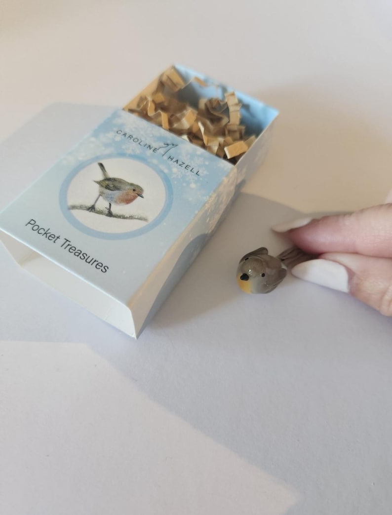May include: A miniature bird figurine with a gray body, yellow beak, and red chest is held near a small box. The box is light blue with the text "Pocket Treasures" and a watercolor illustration of a bird. The box contains shredded brown paper.