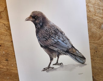 Impression Corbeau