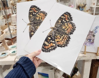 Puede incluir: Dos impresiones enmarcadas de pinturas de acuarela de mariposas. Las mariposas son de color naranja, negro y blanco con intrincados patrones en sus alas. Las impresiones están en papel blanco con un marco blanco.