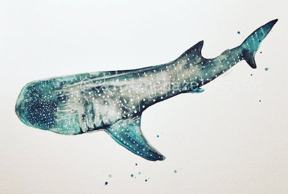 Whale Shark Print