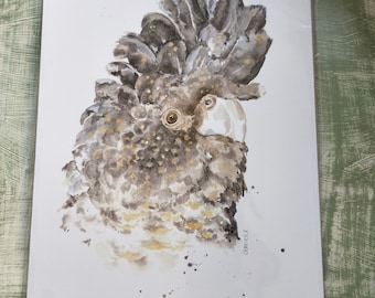 May include: Watercolor painting of a black cockatoo with a white beak and gold accents. The bird is looking to the right of the image. The painting is signed "CHLOE" in the bottom right corner.