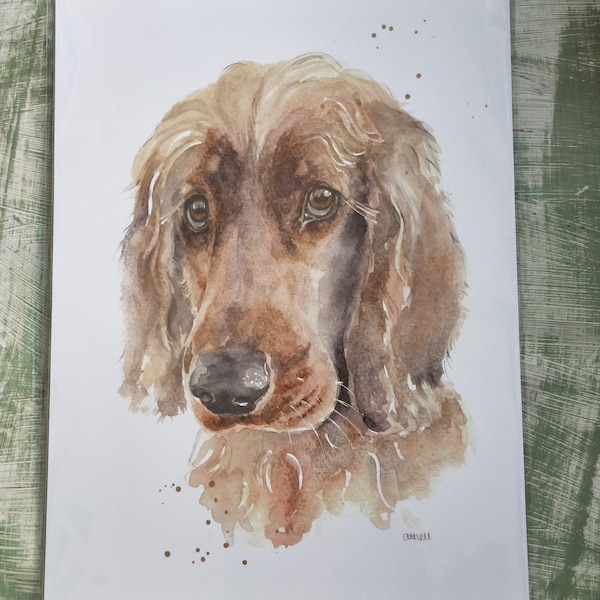 Cocker Spaniel Print