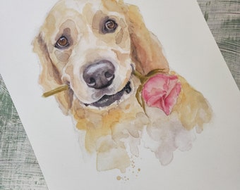 May include: Watercolor painting of a golden retriever dog holding a pink rose in its mouth. The dog is looking directly at the viewer with a happy expression.