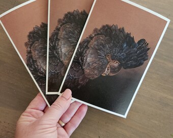 Op de afbeelding: Drie bruine en witte ansichtkaarten met een zwart-witte illustratie van een vogel met een grote zwarte kuif.