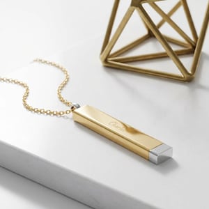 Puede incluir: Un collar con colgante rectangular de color dorado con una cadena delicada. El colgante tiene grabado el nombre "Charlie". El colgante tiene un extremo plateado. Una escultura geométrica dorada está en el fondo.