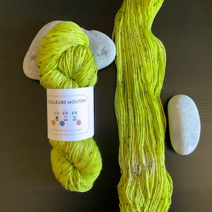 May include: A skein of hand-dyed green yarn with black flecks. The yarn is labelled "Couleurs Mouton Laine teinte à la main".