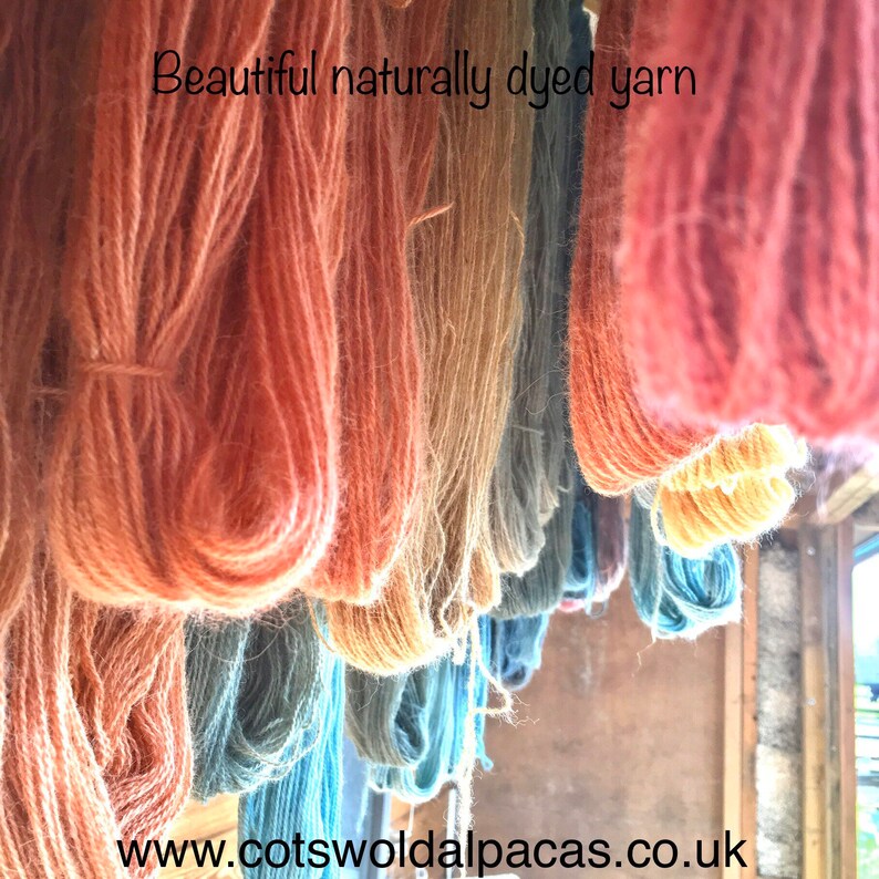 K&ouml;nnte beinhalten: Nat&uuml;rlich gef&auml;rbtes Garn in Pfirsich-, Beige- und Blaut&ouml;nen. Das Bild zeigt das Garn h&auml;ngend, mit dem Text "Beautiful naturally dyed yarn" oben und "www.cotswoldalpacas.co.uk" unten.