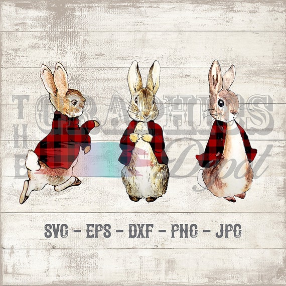 Peter Rabbit Buffalo Plaid Jacket 6 