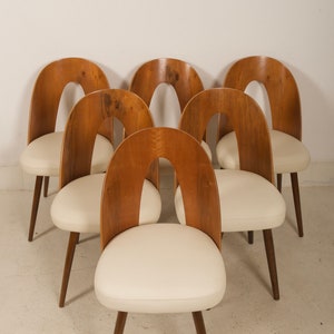 A Set of Six Mid-Century Dining Chair by Antonin Suman for Tatra