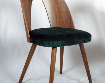 Mid-Century Modern Walnut Dining Chair by Antonin Suman