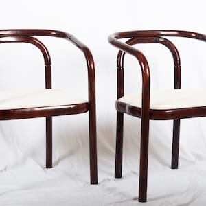 Dining Chair by Antonin Suman for TON