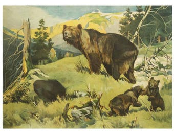 Antique German School Wall Chart "Bears"