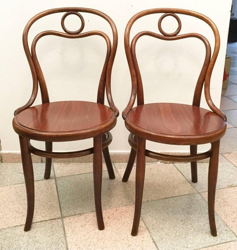 Thonet Nr. 31 Dining Chair - Etsy