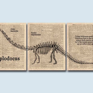 Diplodocus Art, Set of 3 Prints, Dinosaur Gift, Dinosaur Wall Art, Kids Room Decor, Dinosaur Triptych