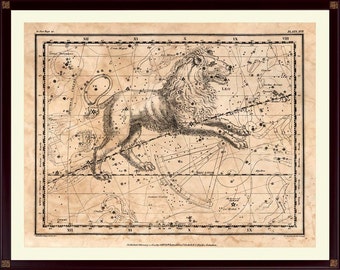 Vintage Leo Constellation Print, Astronomy Decor