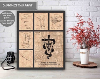 Custom Veterinarian Poster, Veterinary Wall Art, Vet Graduation Gifts