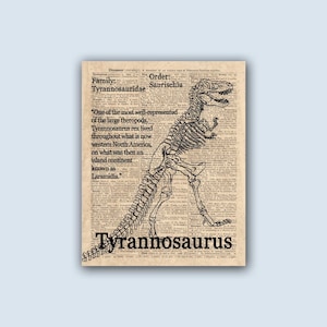 Poster Di Dinosauro In Bianco E Nero Confezionamento. Fogli Di Dinosauri  Per Bambini. Senza Cornice A3
