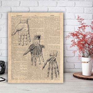 Hand Anatomy Print, Human Hand Poster, Hand Skeleton