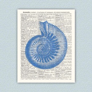 Ammonite Print, Beach House Decor, Nautical Wall Art, Sea Life Print, Nautical Decor, Ocean Decor, Sea Life Art, Coastal Decor Blue