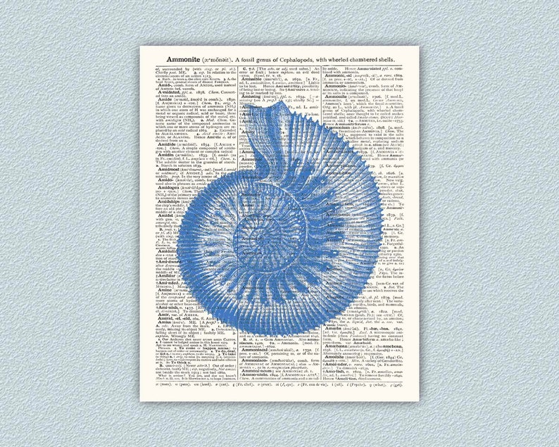 Ammonite Print, Beach House Decor, Nautical Wall Art, Sea Life Print, Nautical Decor, Ocean Decor, Sea Life Art, Coastal Decor Blue