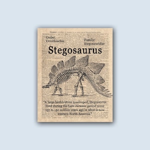 Stegosaurus Print, Childrens Poster, Dinosaur Art Print, Educational Posters, Dinosaur Gift, Paleontology Print, Dinosaur Wall Art