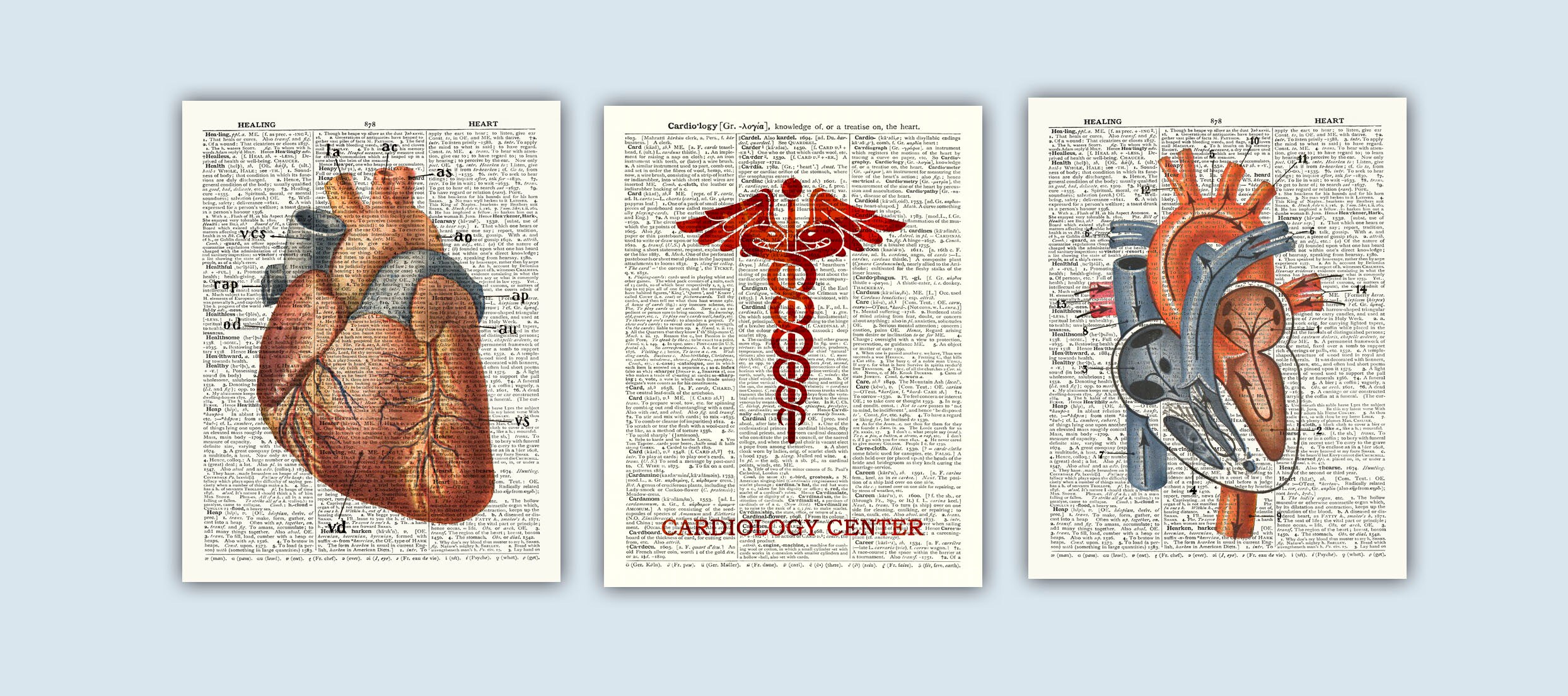 Vintage Heart Anatomy Art Prints, Cardiology Office Decor, Set of 3 - Etsy