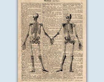 Skeleton Poster, Skeleton Art Print, Anatomy Print, Human Skeleton Print, Anatomical Poster, Anatomy Art