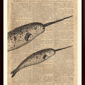 Narwhal Print, Narwhal Poster, Nautical Wall Art, Kids Room Decor, Coastal Decor, Beach Decor